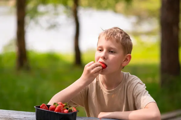 Açık havada açık havada çilek yiyen bir çocuk, tatlı bir yaz atıştırmasının tadını çıkarıyor.