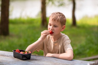 Açık havada açık havada çilek yiyen bir çocuk, tatlı bir yaz atıştırmasının tadını çıkarıyor.