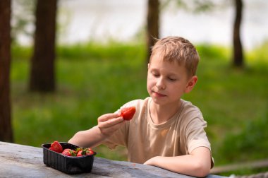 Açık havada açık havada çilek yiyen bir çocuk, tatlı bir yaz atıştırmasının tadını çıkarıyor.