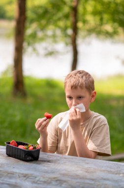 Açık havada açık havada çilek yiyen bir çocuk, tatlı bir yaz atıştırmasının tadını çıkarıyor.