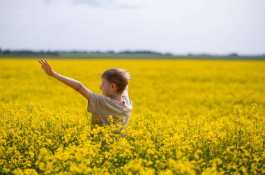 Kollarını açmış neşeli bir çocuk mavi gökyüzünün altındaki sarı açan kolza tohumu tarlasında duruyor.
