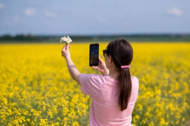 Sarı kolza tohumu tarlasında akıllı telefondan papatya fotoğrafı çeken bir kadın.