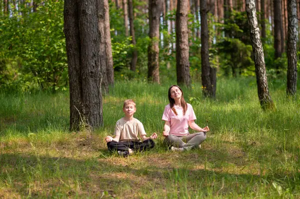 Anne ve oğlu orman çimlerinde bağdaş kurmuş, uyum içinde meditasyon yapıyorlar.