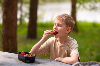 Açık havada açık havada çilek yiyen bir çocuk, tatlı bir yaz atıştırmasının tadını çıkarıyor.