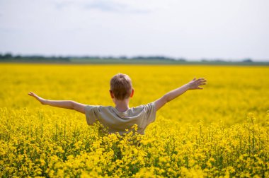 Kollarını açmış neşeli bir çocuk mavi gökyüzünün altındaki sarı açan kolza tohumu tarlasında duruyor.