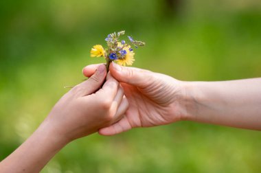 Yeşil yaz çayırında bir buket kır çiçeğini kadına uzatan çocuğun eli, doğadaki sevgi, özen ve bağlantıyı simgeliyor.