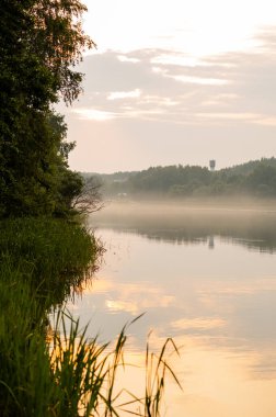 Gün doğumunda sakin, sisli nehir manzarası, sakin sulara yansıyan yumuşak altın ışık ve sabahın erken saatlerinde kıyıya vuran ağaçlar.