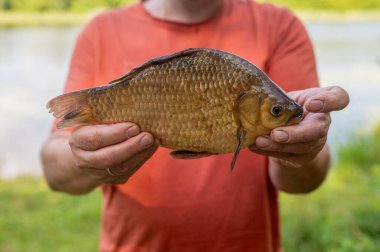 Yaz kampı gezisi sırasında nehre yapılan başarılı bir balık avından sonra taze balık yakalayan bir adamın ellerini yakın plan çekeceğiz.