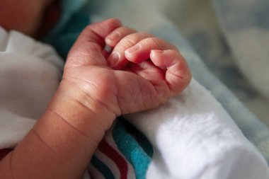 Yeni doğmuş bir bebeğin eli kadar yakın.