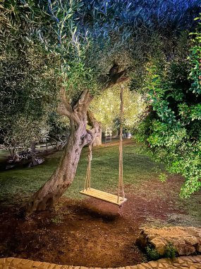 Gece aydınlatmalı, yemyeşil bir bahçedeki kadim, eğri büğrü zeytin ağacından sarkan ahşap salıncağın sakin bir sahnesi. Huzurlu atmosfer çevre ışıklarının parlaklığıyla güçlenir..