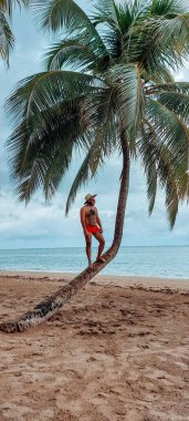 Kırmızı yüzme şortlu bir adam, bir palmiye ağacının kıvrımlı gövdesinde denizi tefekkür ederek kumlu sahillerle ve mavi gökyüzünün altında sakin bir denizle tropikal bir sahil manzarasının tadını çıkarıyor..