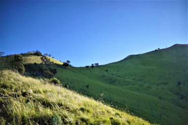 Arkasında bir dağ olan güzel bir manzara.