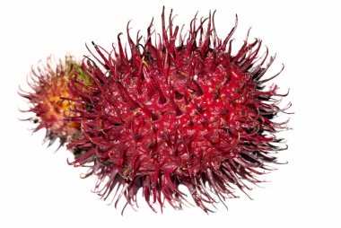 Beyaz arka planda rambutan. beyaz üzerine izole
