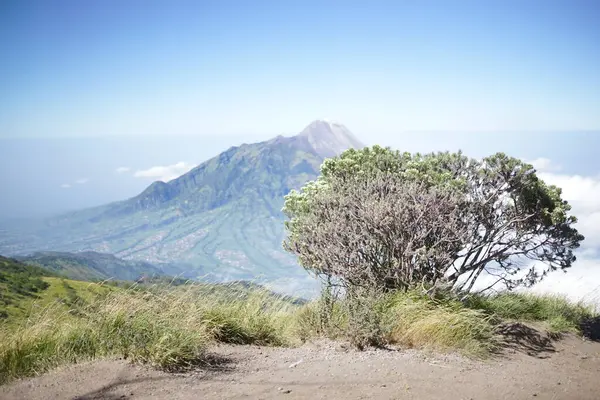 Mount Bromo, Endonezya. bromo dağı.