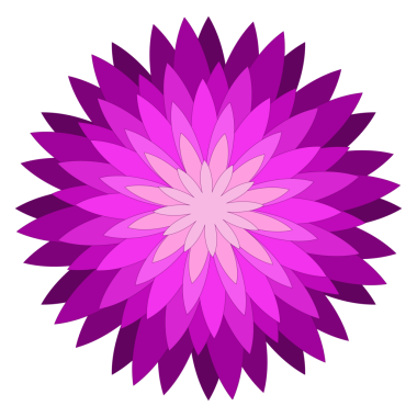 siyah arkaplanda mor çiçek