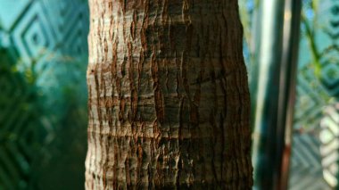 Bir çiçeğe yaklaş.