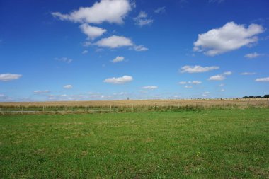 Yeşil çimenli, parlak mavi gökyüzü ve bulutlu bir arazi..