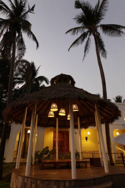 Geceleri palmiye ağaçları