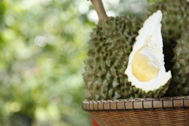 Durian in a basket clipart