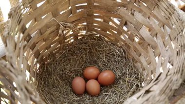 sepet içinde birçok yumurta