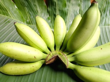 Doğadaki muz sürüsü