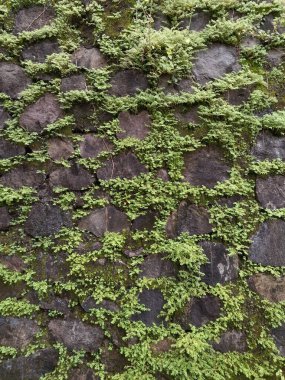 eski taş duvar dokusu arkaplanı