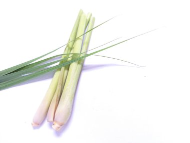 Beyaz zemin üzerinde yeşil lamongrass, izole