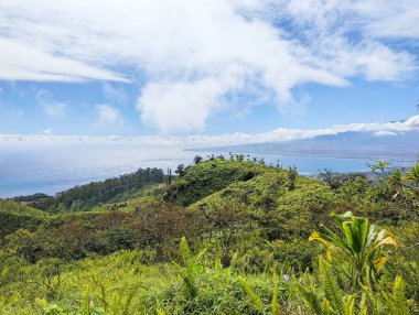 Waihee Ridge Trail, Maui, Hawaii, ABD - güneşli bir günde mavi okyanusun önündeki yemyeşil tepeler