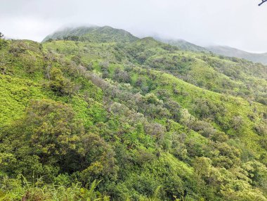 Waihee Ridge Trail, Maui, Hawaii, ABD - bulutlu dağ manzaralı