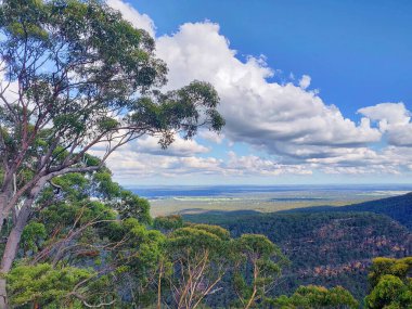 Sydney 'deki Bowen Dağı' ndan Mavi Dağlar Vadisi 'nin manzarası.