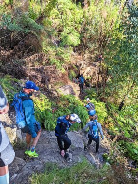 Newnes, NSW, Avustralya - 18 Haziran 2022: Kayalık yolda koşan Ateşböceği Tüneli Koşucuları