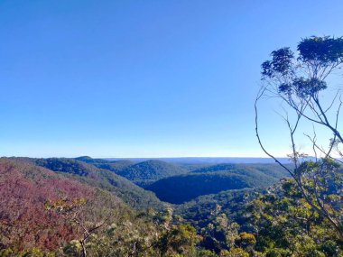 Sidney, Avustralya 'daki Bowen Dağı' ndan Mavi Dağların yuvarlanan tepelerinin görüntüsü