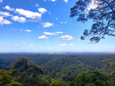 Bowen Dağı, Sydney, Avustralya 'dan mavi dağların yeşil kıvrımlı tepelerinin manzarası