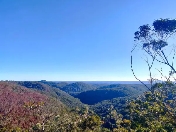 Sidney, Avustralya 'daki Bowen Dağı' ndan Mavi Dağların yuvarlanan tepelerinin görüntüsü