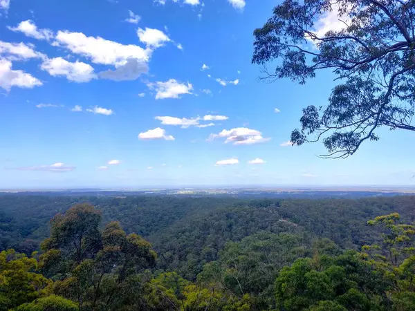 Bowen Dağı, Sydney, Avustralya 'dan mavi dağların yeşil kıvrımlı tepelerinin manzarası