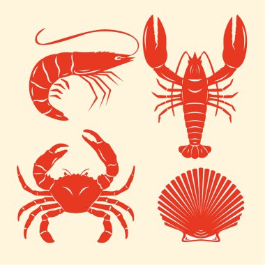 Kızıl Deniz Ürünleri Hayvan Vektörü İllüstrasyonu