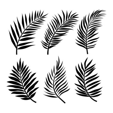 Organik Boho Palm Vektör Resmini Yapıyor