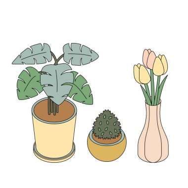 Ev Bitkisi Basit Vektör İllüstrasyonu