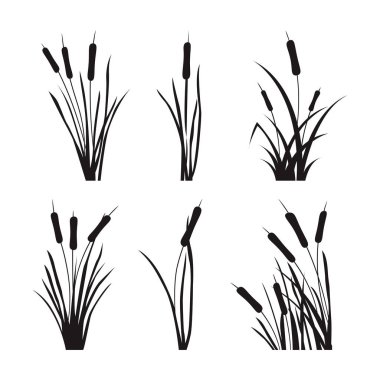 Bulrush Plant Siluet Vektör Resimlemesi