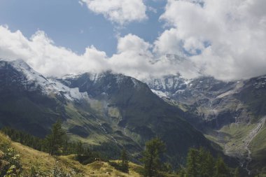 Grossglockner 'daki İnekler Yüksek Alp Yolu, Avusturya