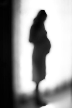 Hamile bir kadının silueti.