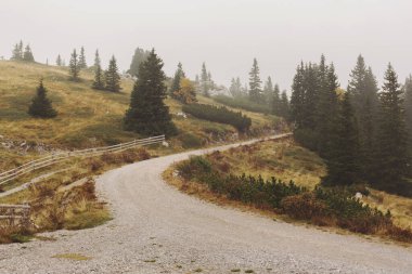 Dağlardaki sisli yol, Velebit Ulusal Parkı, Hırvatistan