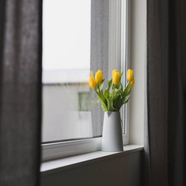 Sarı laleler pencere eşiğinde