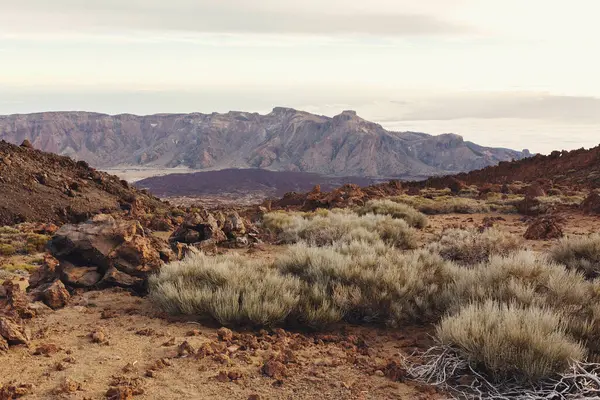 Teide Dağı Vadisi, kayalık volkanik manzara