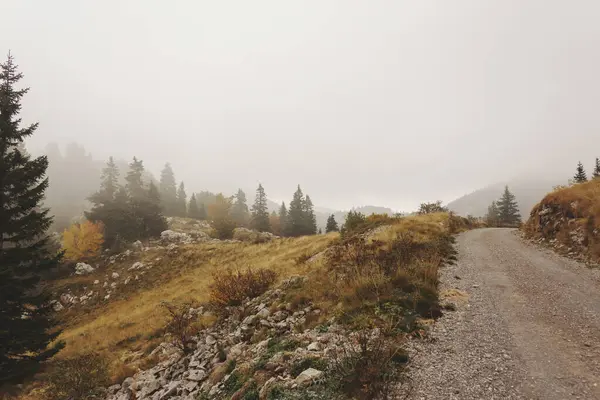 Dağlardaki sisli yol, Velebit Ulusal Parkı, Hırvatistan