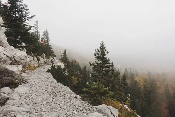 Dağlardaki sisli patika, Velebit Ulusal Parkı, Hırvatistan