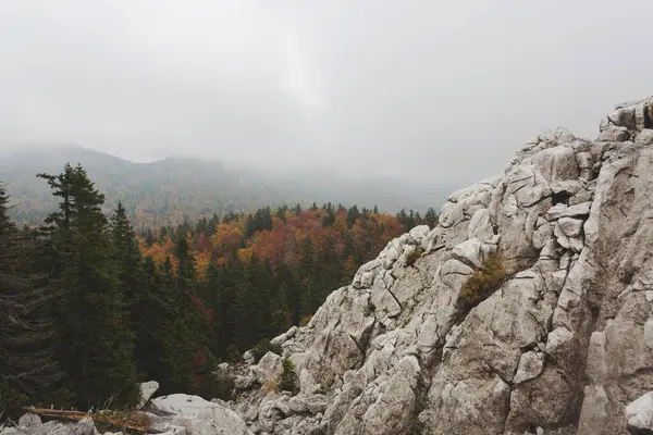 Dağlardaki sisli patika, Velebit Ulusal Parkı, Hırvatistan
