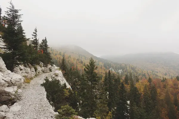 Dağlardaki sisli patika, Velebit Ulusal Parkı, Hırvatistan