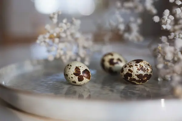 Bulanık arka planda, bir tabakta üç bıldırcın yumurtası.