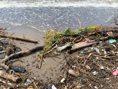 Plajda bir yığın plastik atık, çevresel hasar. Su kirliliği sorunu.